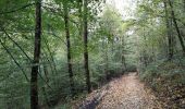 Trail On foot Vresse-sur-Semois - La Roche aux Corbeaux - Photo 5