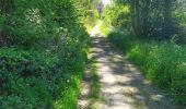 Trail On foot Gedinne - Chersi 06 - Photo 4
