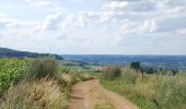 Trail On foot Virton - La Bajocienne - Photo 2