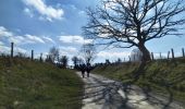 Trail On foot Paliseul - Fays-les-Veneurs : Aux moulins de Pont le Prêtre - Photo 2