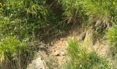 Trail Walking Pescasseroli - monte valle caprara 15 km - Photo 3