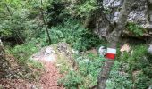 Trail Walking Pescasseroli - monte valle caprara 15 km - Photo 1