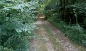 Trail Walking Nailly - Le Fay-Villeperrot-Villenavotte - Photo 19