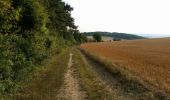 Trail Walking Nailly - Le Fay-Villeperrot-Villenavotte - Photo 17
