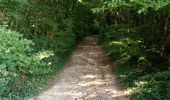 Trail Walking Nailly - Le Fay-Villeperrot-Villenavotte - Photo 8