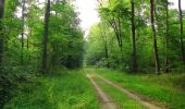 Trail Walking Compiègne - en forêt de Compiègne_17_les Rossignols - Photo 2