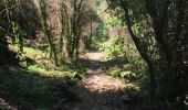 Trail Walking Chalencon - Chalencon circuit 1 - Photo 8