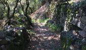Trail Walking Chalencon - Chalencon circuit 1 - Photo 6