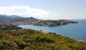 Tour Wandern Collioure - batteriesBear_T - Photo 4