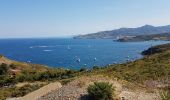 Tour Wandern Collioure - batteriesBear_T - Photo 1