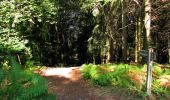 Tocht Stappen Longpont - en forêt de Retz_65_Longpont_carrefours de la Belle Epine et des Chamarts - Photo 20