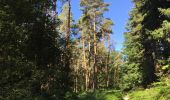 Percorso Marcia Longpont - en forêt de Retz_65_Longpont_carrefours de la Belle Epine et des Chamarts - Photo 9