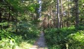 Trail Walking Longpont - en forêt de Retz_65_Longpont_carrefours de la Belle Epine et des Chamarts - Photo 11