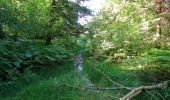 Trail Walking Longpont - en forêt de Retz_65_Longpont_carrefours de la Belle Epine et des Chamarts - Photo 15