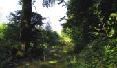 Trail Walking Longpont - en forêt de Retz_65_Longpont_carrefours de la Belle Epine et des Chamarts - Photo 6