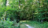 Randonnée Marche Longpont - en forêt de Retz_65_Longpont_carrefours de la Belle Epine et des Chamarts - Photo 4