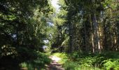Excursión Senderismo Longpont - en forêt de Retz_65_Longpont_carrefours de la Belle Epine et des Chamarts - Photo 13