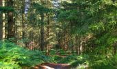 Trail Walking Longpont - en forêt de Retz_65_Longpont_carrefours de la Belle Epine et des Chamarts - Photo 16