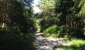 Trail Walking Longpont - en forêt de Retz_65_Longpont_carrefours de la Belle Epine et des Chamarts - Photo 14