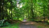 Randonnée Marche Longpont - en forêt de Retz_65_Longpont_carrefours de la Belle Epine et des Chamarts - Photo 10