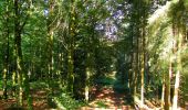 Tocht Stappen Longpont - en forêt de Retz_65_Longpont_carrefours de la Belle Epine et des Chamarts - Photo 19