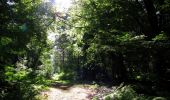 Excursión Senderismo Longpont - en forêt de Retz_65_Longpont_carrefours de la Belle Epine et des Chamarts - Photo 12