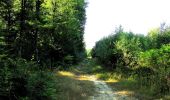 Tocht Stappen Longpont - en forêt de Retz_65_Longpont_carrefours de la Belle Epine et des Chamarts - Photo 3