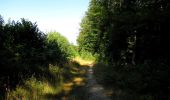 Percorso Marcia Longpont - en forêt de Retz_65_Longpont_carrefours de la Belle Epine et des Chamarts - Photo 5