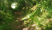 Trail Walking Saint-Ours - Courteix 63 - Photo 12