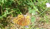 Trail Walking Fixin - Les Cent Marches de Napoléon et la splendide combe de Fixey - Photo 5