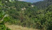 Randonnée Marche Fixin - Les Cent Marches de Napoléon et la splendide combe de Fixey - Photo 4