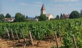 Randonnée Marche Fixin - Les Cent Marches de Napoléon et la splendide combe de Fixey - Photo 2