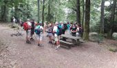 Tour Wandern Thann - 18.07 - Photo 5