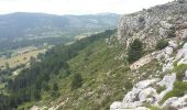 Excursión Senderismo Saint-Vallier-de-Thiey - Col du Ferrier au Haut Montet - Photo 13