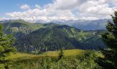 Trail Walking Hauteluce - Tour du chard du Beurre et sentier découverte de la faune et la flore des tourbiere et retour au belambra - Photo 2