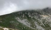 Percorso Marcia Alfedena - La Meta Abruzzes montagne  sommet 13 km - Photo 8