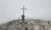 Percorso Marcia Alfedena - La Meta Abruzzes montagne  sommet 13 km - Photo 6