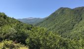 Tocht Stappen Opi - monte Amaro Opi 9,5 km - Photo 3
