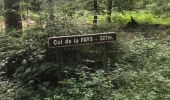 Trail Walking Vresse-sur-Semois - Alle - Mouzaive - Photo 2