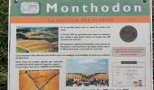 Trail Walking Monthodon - Monthodon - et Le Sentier - 26.7km 230m 6h00 - 2018 07 15 - public - Photo 11