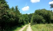Trail Walking Monthodon - Monthodon - et Le Sentier - 26.7km 230m 6h00 - 2018 07 15 - public - Photo 7