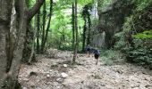 Trail Walking Aielli - gole de celano 10 km - Photo 4