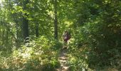 Trail Walking Holsbeek - Holsbeek 20km - Photo 1