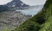 Tocht Stappen Chamonix-Mont-Blanc - 180715 La Jonction  - Photo 7