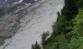 Tocht Stappen Chamonix-Mont-Blanc - 180715 La Jonction  - Photo 5