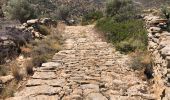 Tour Wandern Lefkes - Lefkes Aspro Chorio par la kavouropotamos - Photo 6