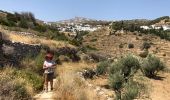 Trail Walking Πρόδρομος - prodromos lefkes retour byzantin - Photo 10