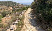 Randonnée Marche Πρόδρομος - prodromos lefkes retour byzantin - Photo 9