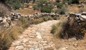 Randonnée Marche Πρόδρομος - prodromos lefkes retour byzantin - Photo 8
