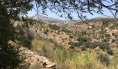 Tour Wandern Πρόδρομος - prodromos lefkes retour byzantin - Photo 5